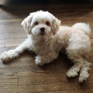 Meet your Posher, Yazmin